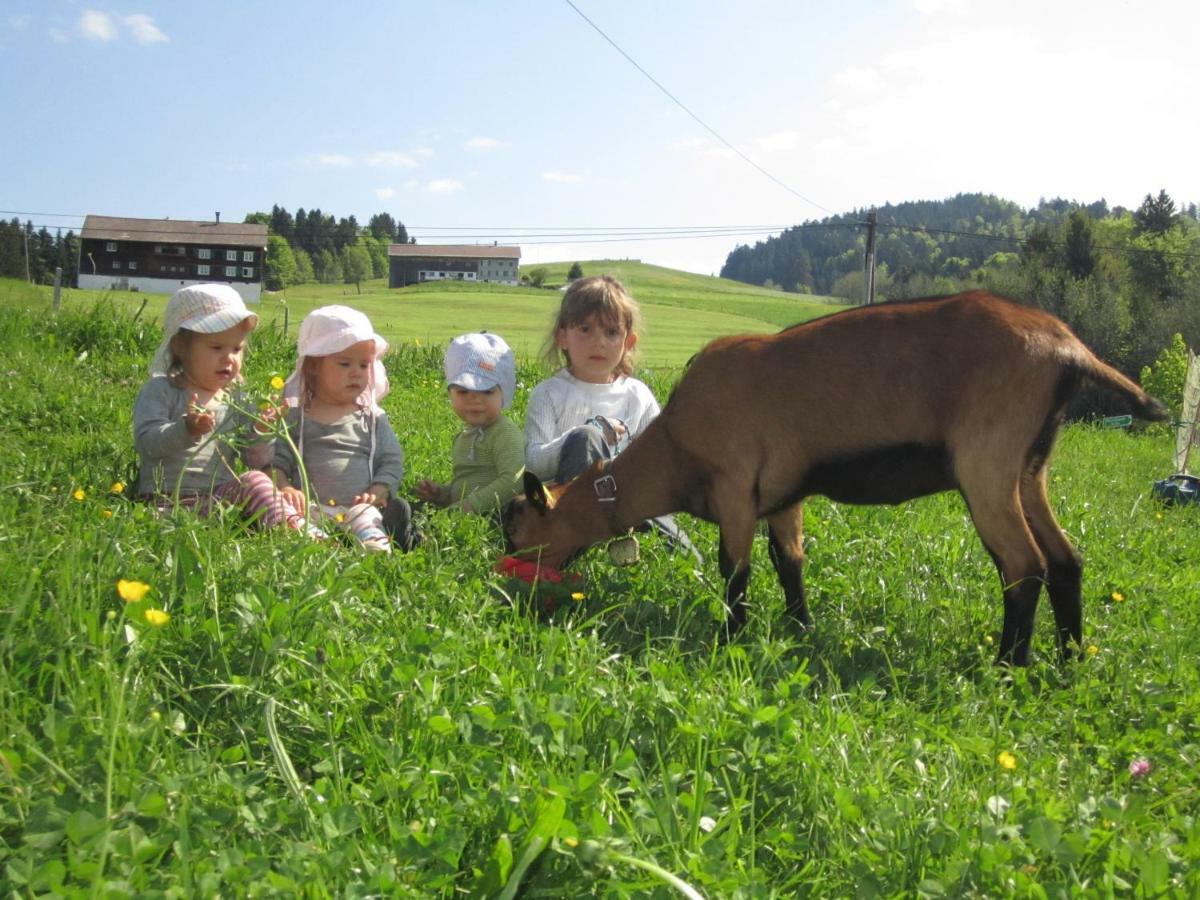 Bauernhof Bilgeri Villa Hittisau Exterior foto